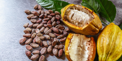 Découvrez notre arôme « jus de cacao »