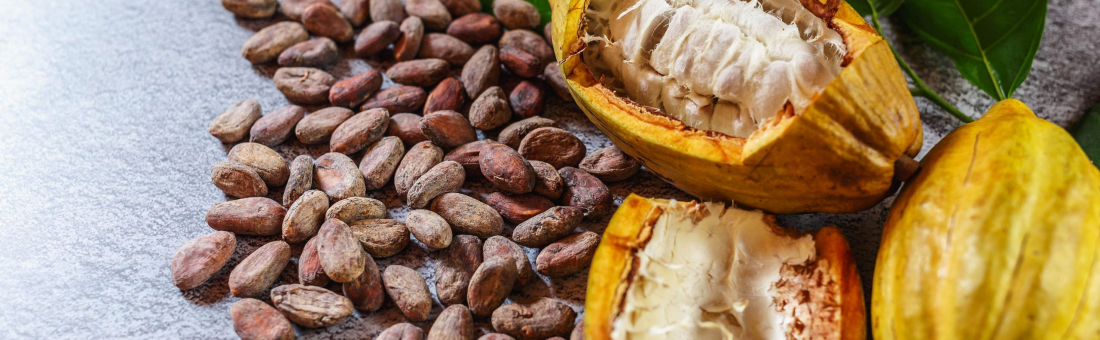 Découvrez notre arôme « jus de cacao »